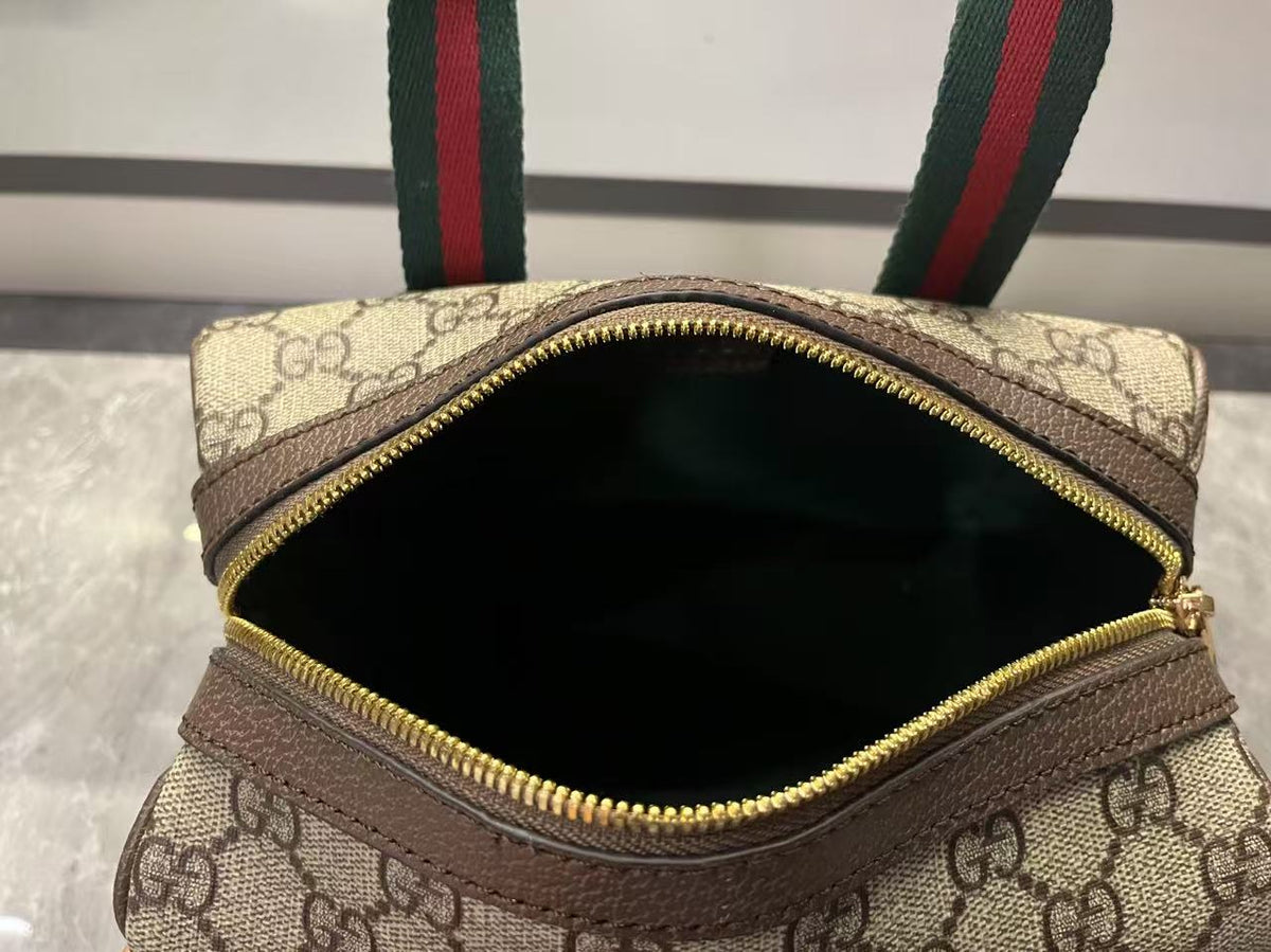 Gucci Mini GG Handbag - Beige and Dark Brown