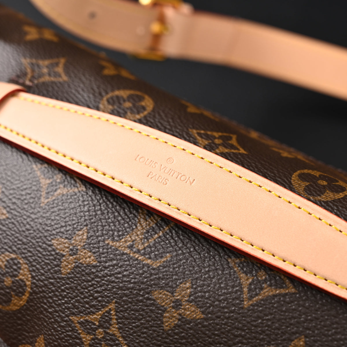 Louis Vuitton Bumbag – Monogram Canvas Waist & Crossbody Bag
