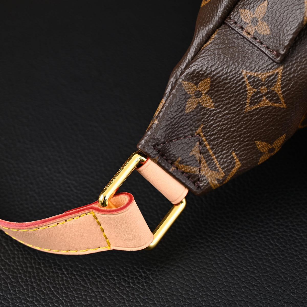 Louis Vuitton Bumbag – Monogram Canvas Waist & Crossbody Bag