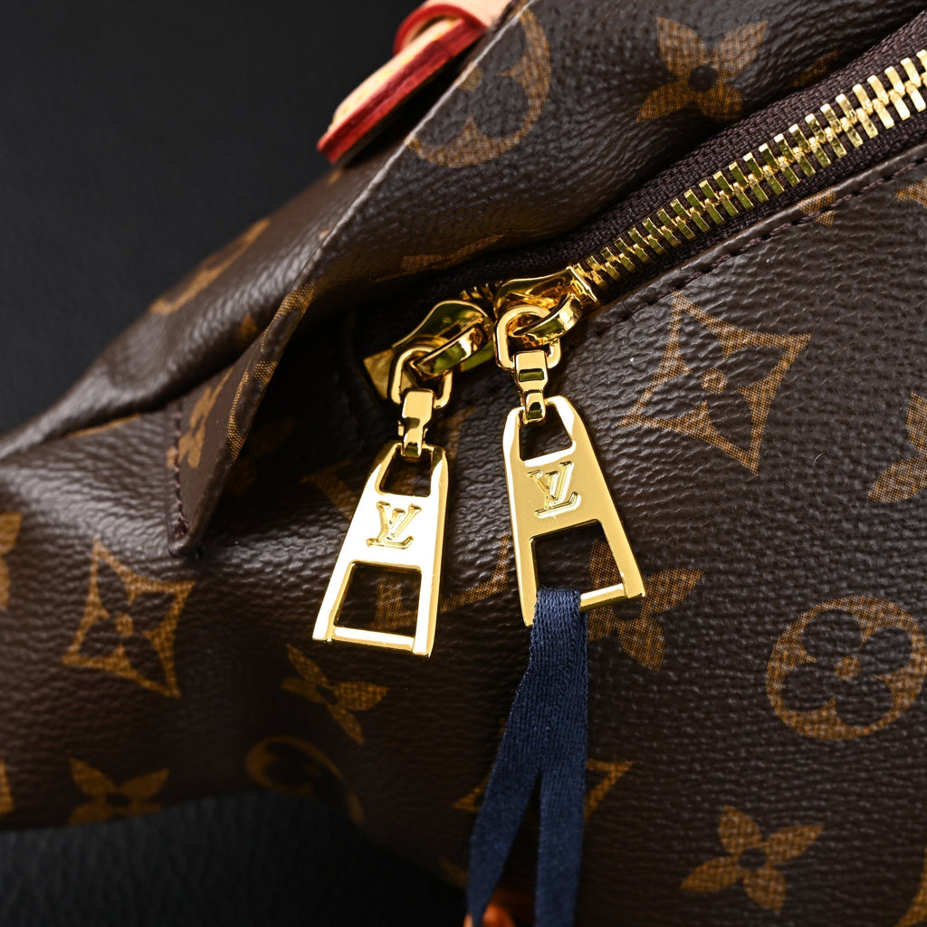 Louis Vuitton Bumbag – Monogram Canvas Waist & Crossbody Bag